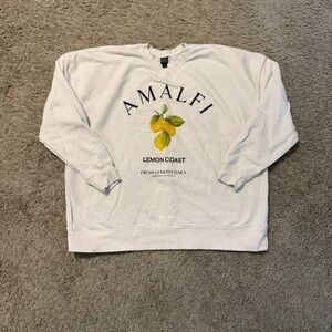 Wild Fable Bundle Blue and White Sweatshirts